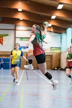 Bild 209 - F HSG Kremperheide/Muensterdorf - HSG HerKollNeu : Ergebnis: 43:29